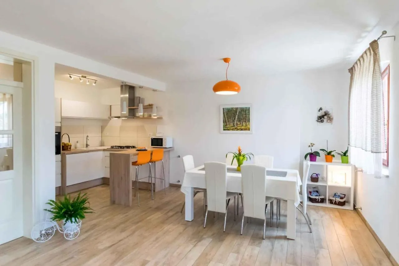 Holiday Home In Galizana - Istrien 41739